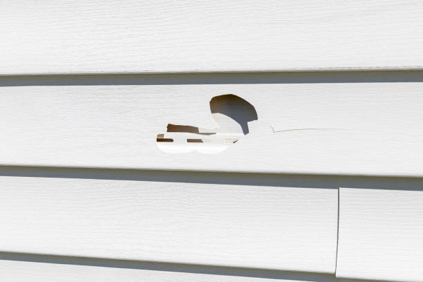 Best Construction Debris Removal  in Maysville, MO