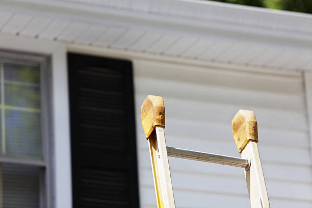 Best Shed Removal  in Maysville, MO